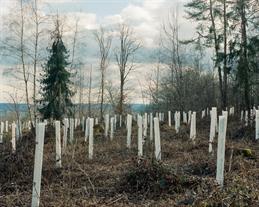 The first photo by Timo Matthies. You can see white posts in a piece of forest.