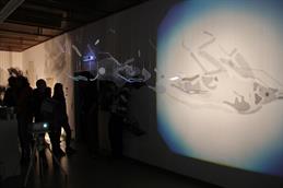 Skinless_exhibit_1