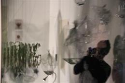 Skinless_exhibit_3