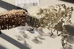 Skinless_exhibit_4